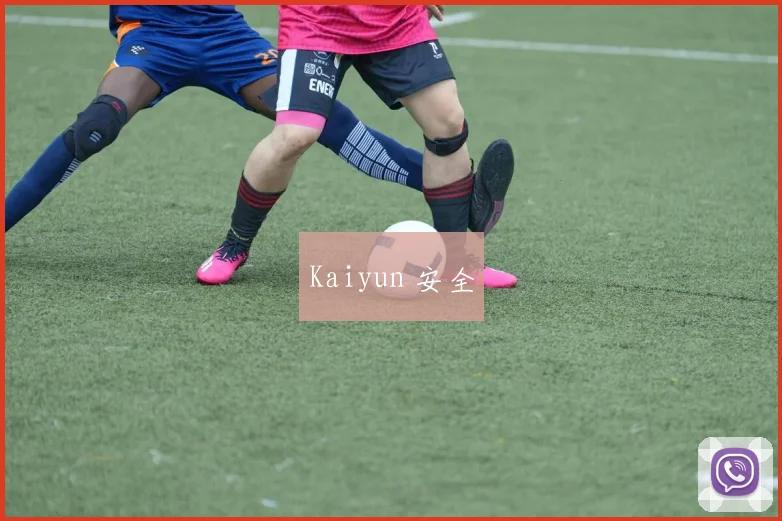 Kaiyun 安全