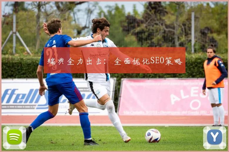 瑞典全力出击：全面优化SEO策略