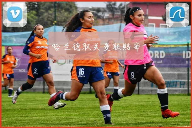 哈兰德取关曼联赔率