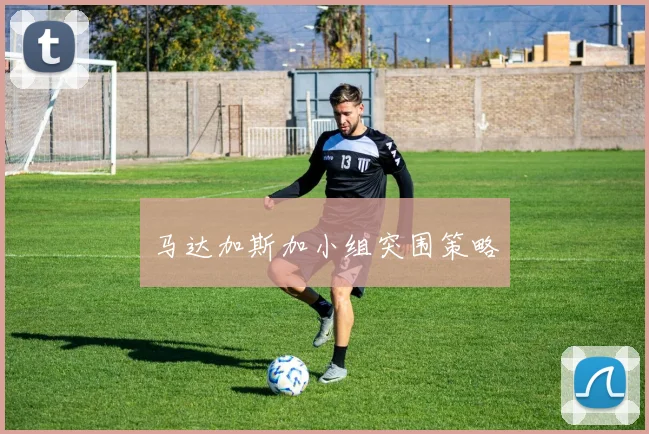 马达加斯加小组突围策略