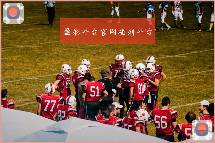 盈彩平台官网福利平台