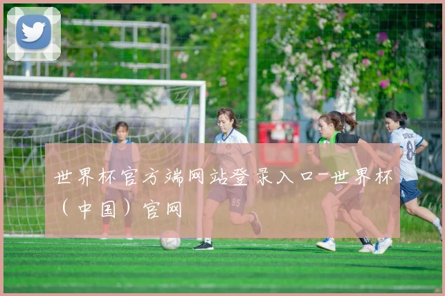 世界杯官方端网站登录入口-世界杯（中国）官网