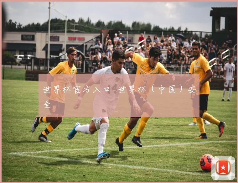 世界杯官方入口_世界杯（中国）安全