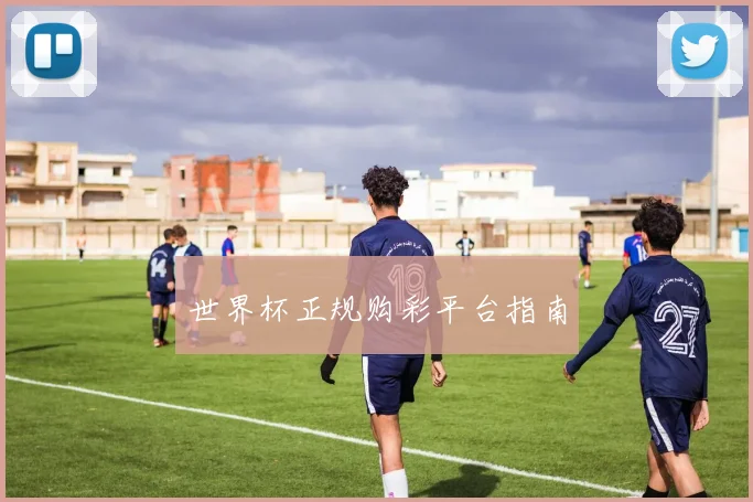 世界杯正规购彩平台指南