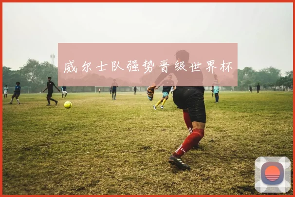 威尔士队强势晋级世界杯