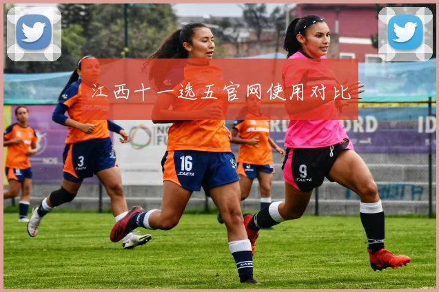 江西十一选五官网使用对比