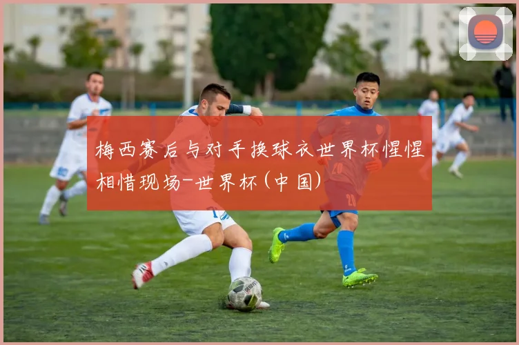 梅西赛后与对手换球衣世界杯惺惺相惜现场-世界杯(中国)