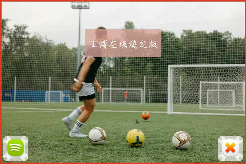 亚搏在线稳定版