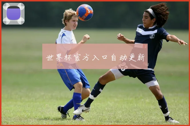 世界杯官方入口自动更新