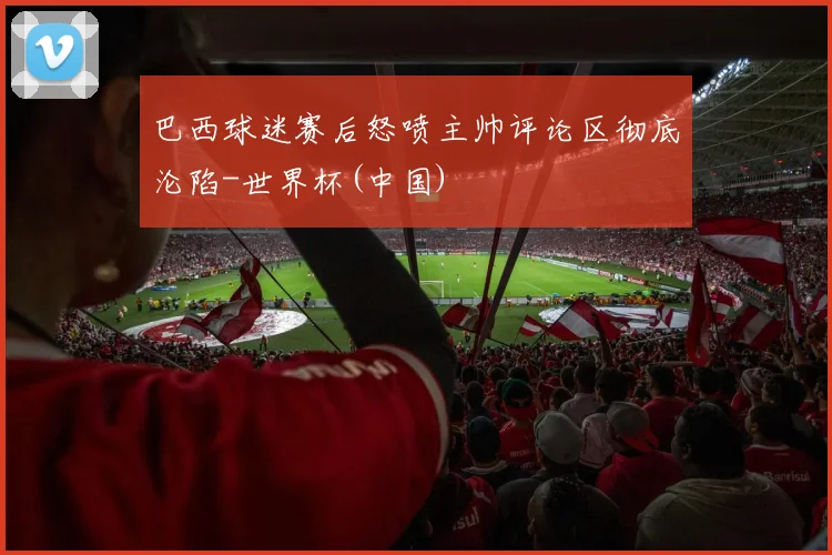 巴西球迷赛后怒喷主帅评论区彻底沦陷-世界杯(中国)