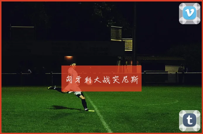 匈牙利大战突尼斯