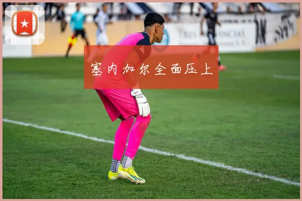 塞内加尔全面压上