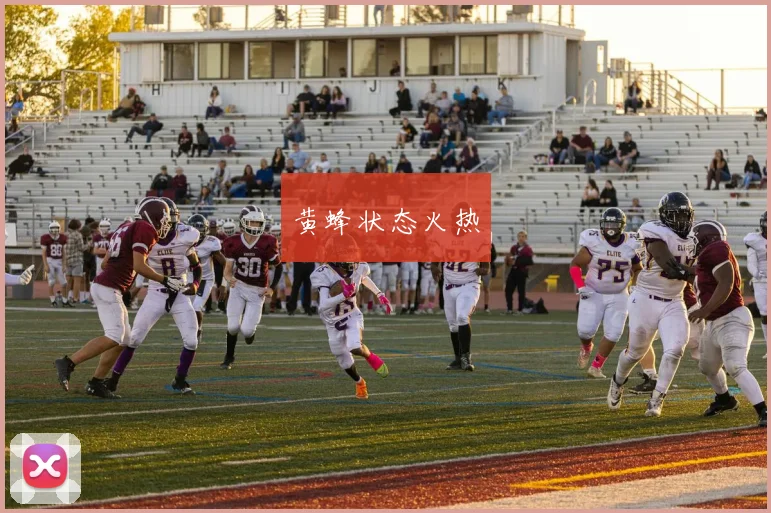 黄蜂状态火热