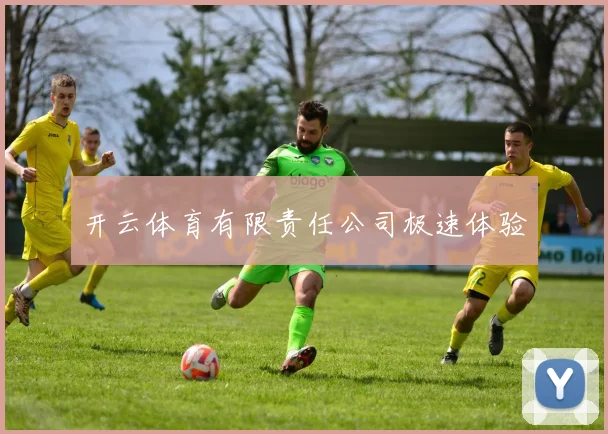 开云体育有限责任公司极速体验