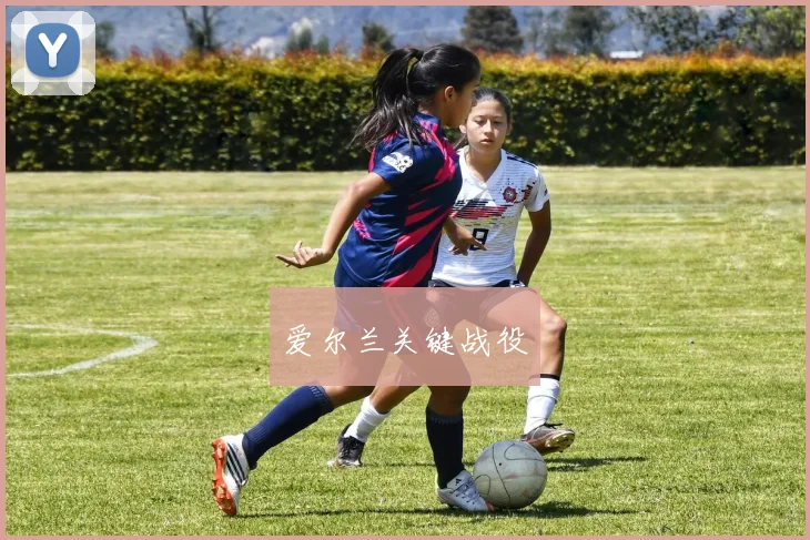 爱尔兰关键战役