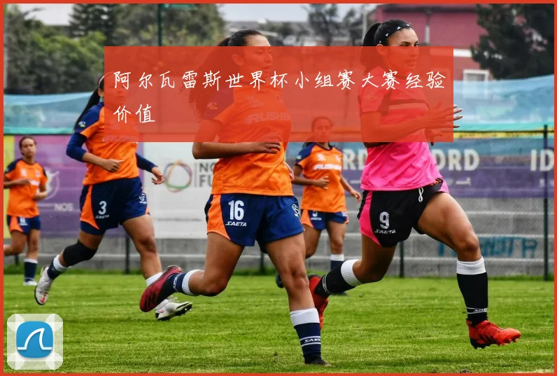 阿尔瓦雷斯世界杯小组赛大赛经验价值