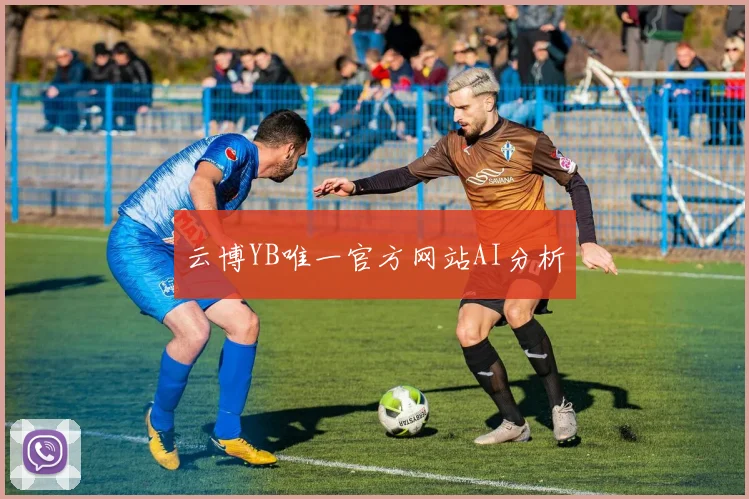 云博YB唯一官方网站AI分析