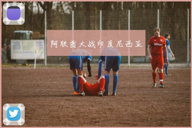 阿联酋大战印度尼西亚