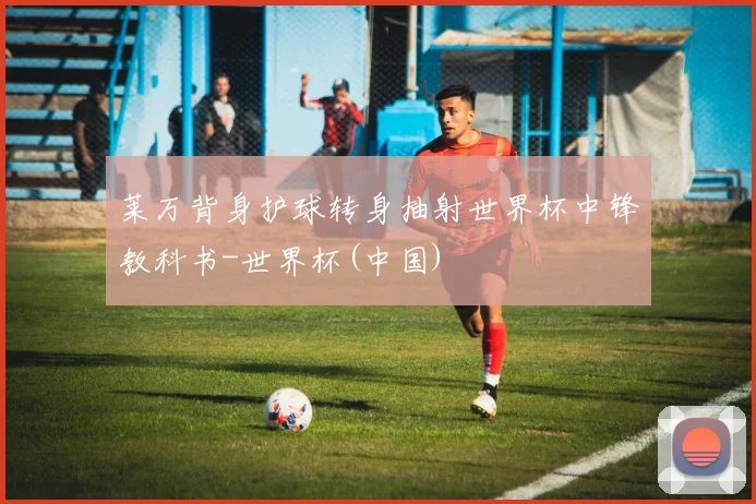 莱万背身护球转身抽射世界杯中锋教科书-世界杯(中国)
