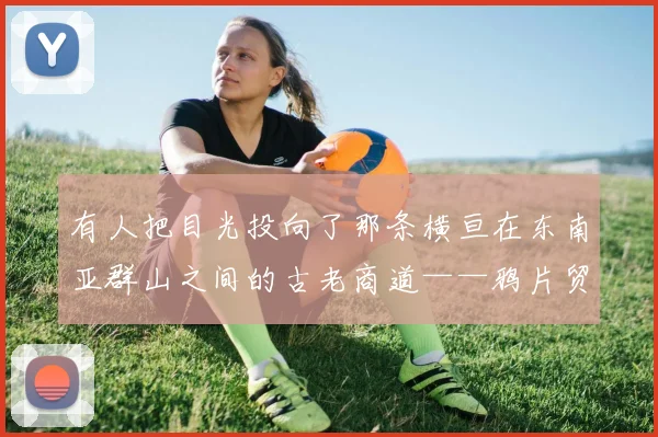 有人把目光投向了那条横亘在东南亚群山之间的古老商道——鸦片贸易