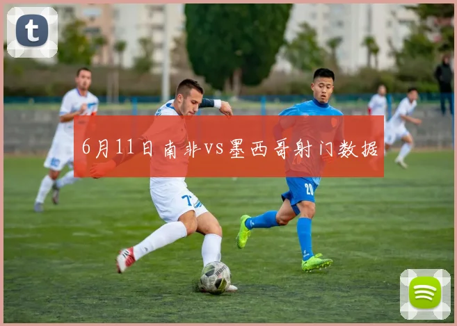 6月11日南非vs墨西哥射门数据