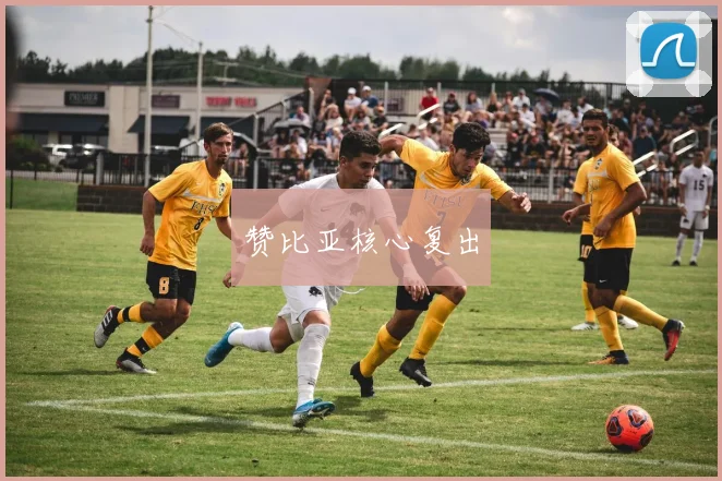 赞比亚核心复出