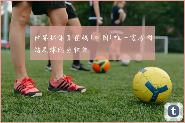 世界杯体育在线(中国)唯一官方网站足球比分软件