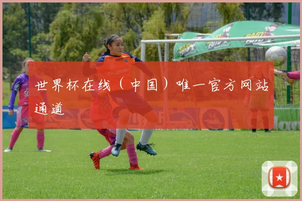 世界杯在线（中国）唯一官方网站通道