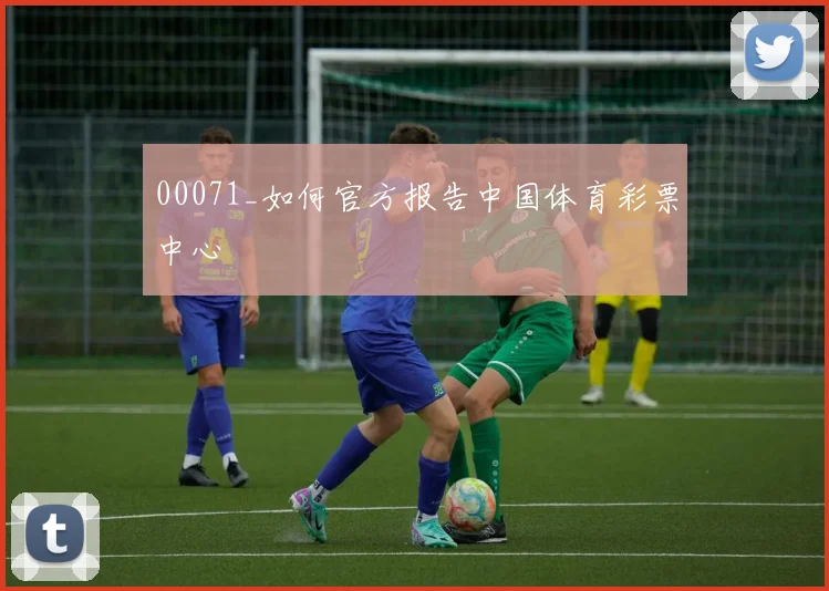 00071_如何官方报告中国体育彩票中心