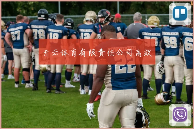 开云体育有限责任公司高效