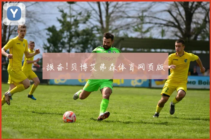 振奋!贝博艾弗森体育网页版