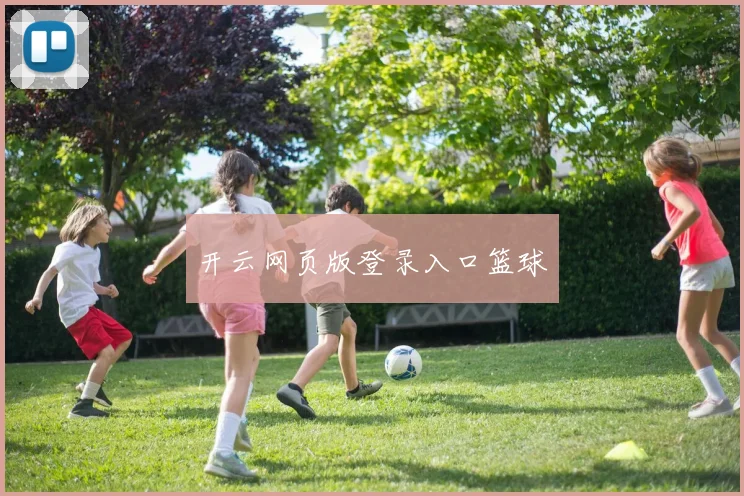 开云网页版登录入口篮球