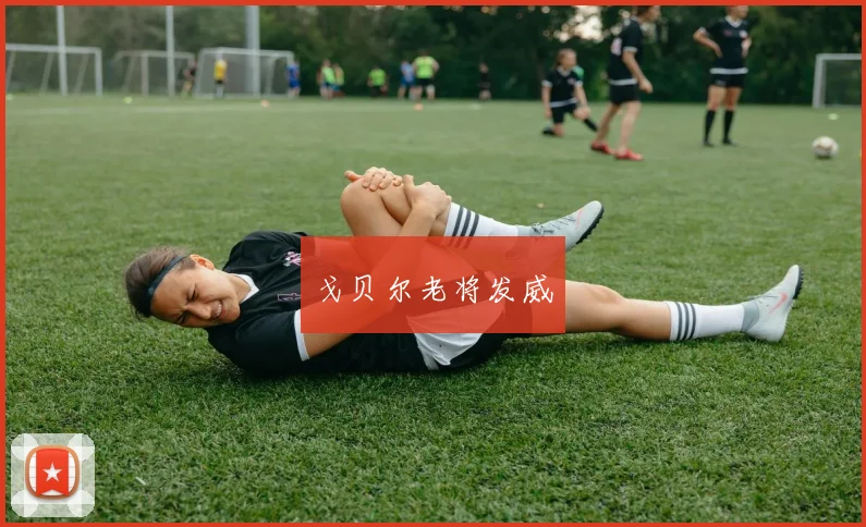 戈贝尔老将发威