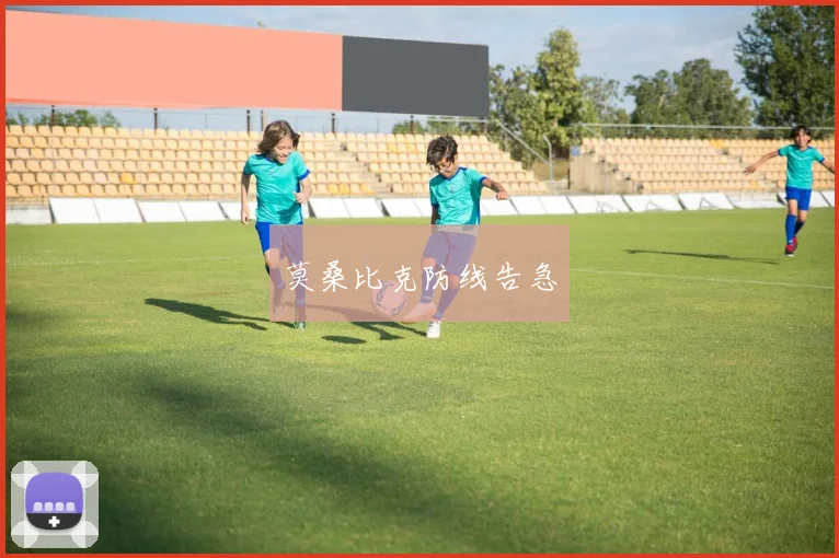 莫桑比克防线告急