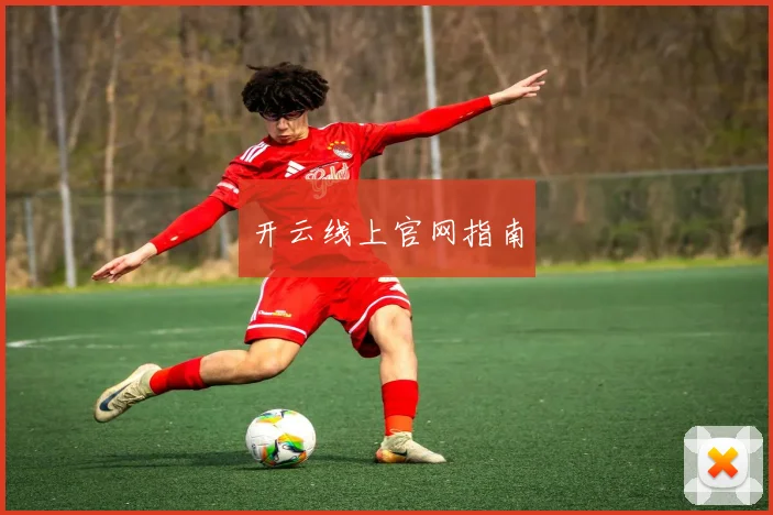 开云线上官网指南