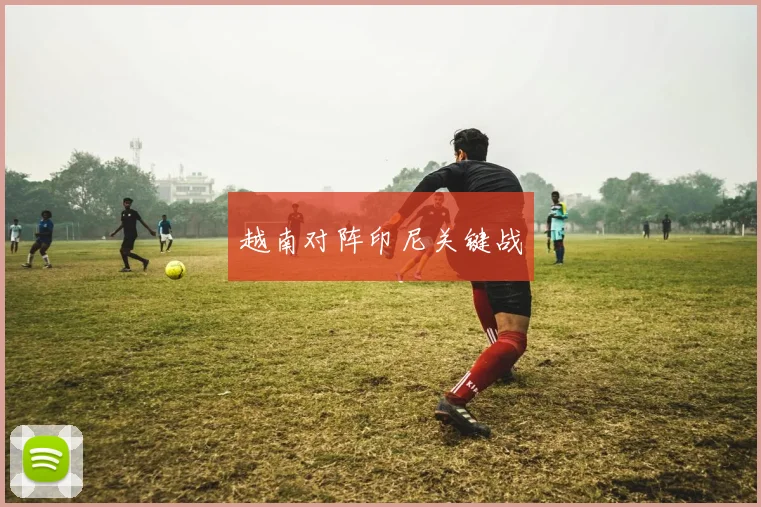 越南对阵印尼关键战