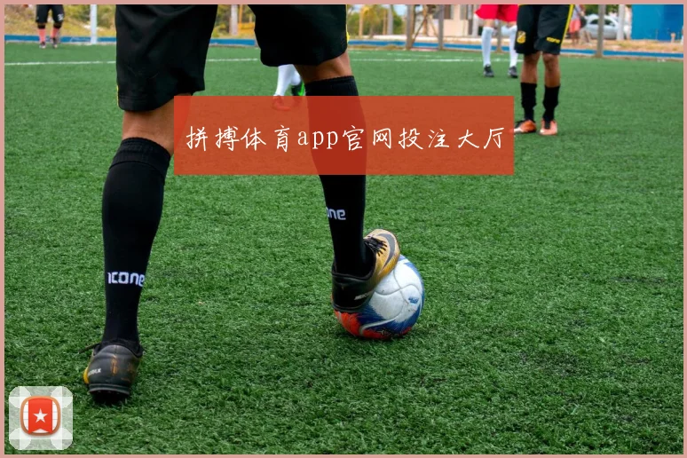 拼搏体育app官网投注大厅