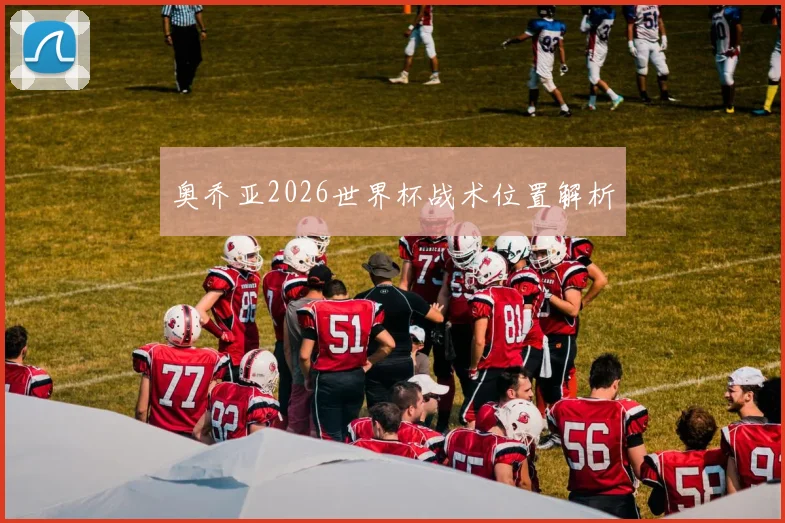 奥乔亚2026世界杯战术位置解析