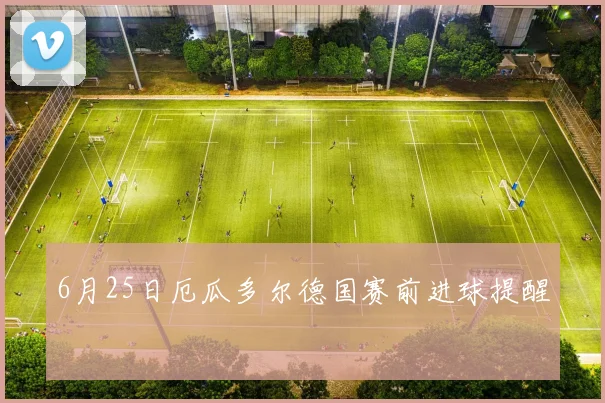 6月25日厄瓜多尔德国赛前进球提醒