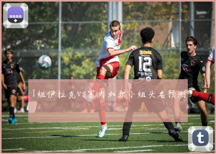 I组伊拉克vs塞内加尔小组头名预测