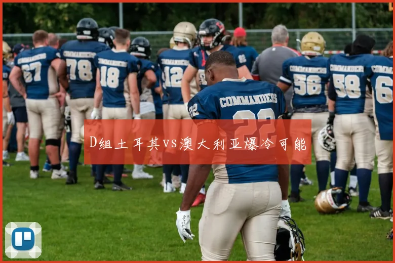 D组土耳其vs澳大利亚爆冷可能