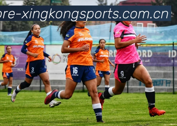 星空体育（中国）官方网站-XINGKONGSPORTS-在探索中不断前行平台生态图