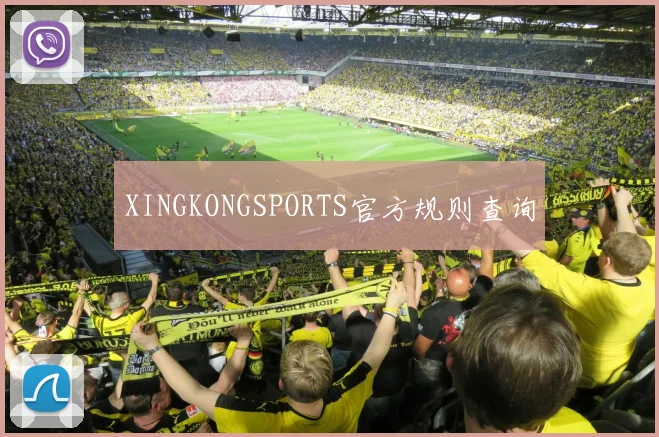XINGKONGSPORTS官方规则查询