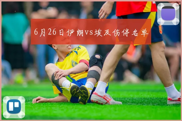 6月26日伊朗vs埃及伤停名单